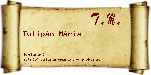 Tulipán Mária névjegykártya